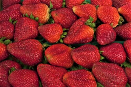 Food as medicine: How strawberries can reduce diabetes risk