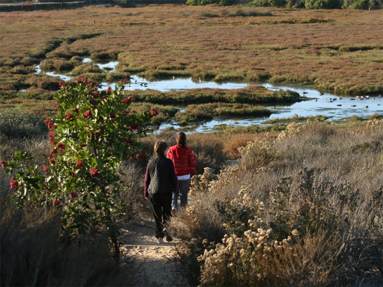CA State Parks announce grants to protect, restore wildlife habitats
