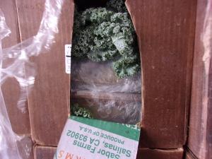 CBP seized $38 million worth of meth within a shipment of kale