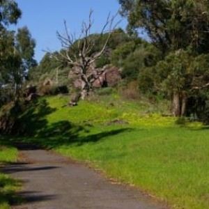 CA state parks to receive $24.8 million for outdoor recreation