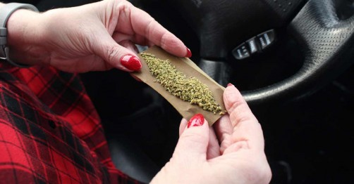 Can field sobriety tests identify DUI of Cannabis?