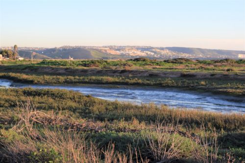 County Supervisors expand efforts to improve Tijuana River Valley